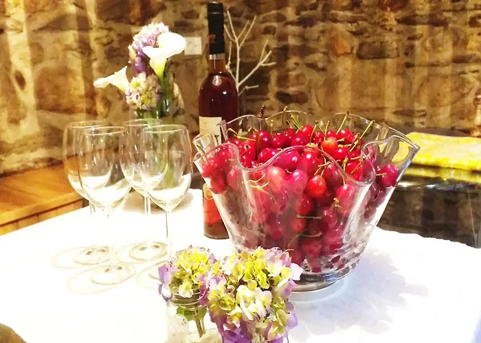 Tatil Evi Casa Da Ferreira_vila Real Vila Real